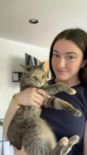 Feeding my food obsessed cat pt 2 • • • • • • #catmom #catmomsofinstagram #catfood #feedmycatswithme | Health Extension