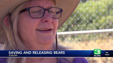 Gold Country Wildlife Rescue gives tour of bear cub rehab facility