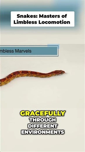 Snake Locomotion: Masters of Movement Explained! #shorts