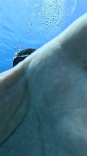 ali khalifa على TikTok