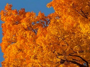 Hayrides Offer Fall Family Fun Near The River Towns