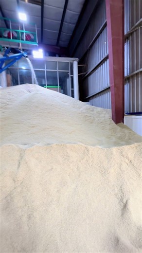 Understanding the Rice Market for Basmati Export