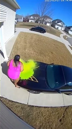 Giant Woman in Soaked Pink Leotard Steals Package, Paint Bomb OBLITERATES Her Firebird 💚💥