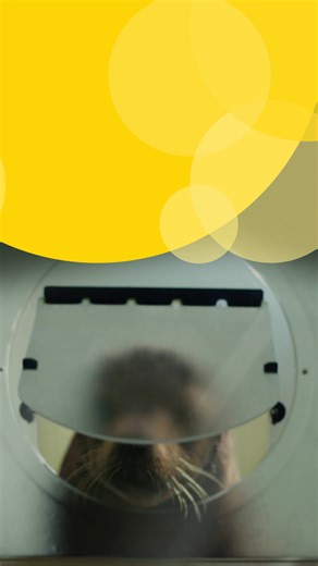 Feel as free as this little guy when you know everything you need to about your home cover. ✨ | AA Insurance | Facebook