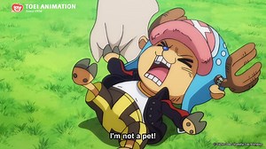 The doctor is IN. Get ready to Meet Chopper, the cutest little reindeer-turned-human-kind-of, narrated by his English voice actress Brina Palencia 🦌 Original article by Dan Dockery | One Piece