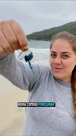 355K views · 14K reactions | Animais marinhos que achei na praia #Praia #biologia #animais | Nick biologia | Facebook