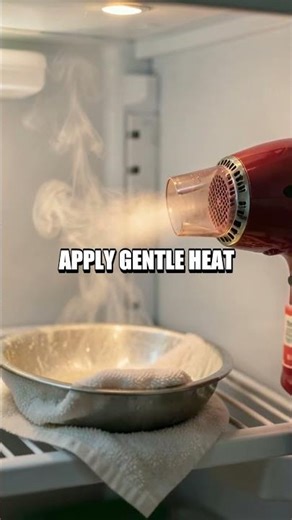 Defrost Fast Fridge Fix Five Easy Steps #untiltheend #viralshort #youtubeshorts #facts #smart