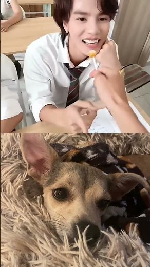 Handcuffed me🤣#duet #comedyanime #funny #funnyanimal #christmasduet #animals #funnypet #pets #dog