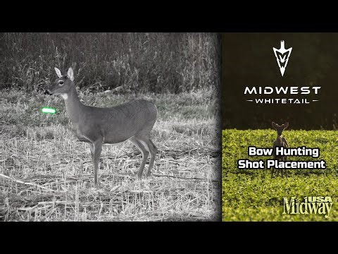 Where to Shoot a Deer – Bow Hunting Shot Placement | Midwest Whitetail