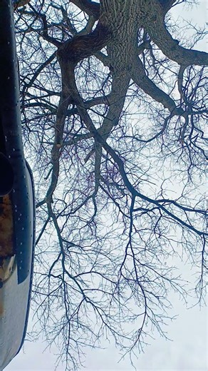 2002 chevolet Silverado 1500 cold start.#coldstart #1500 #silverado #automobile