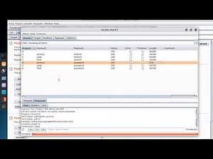 Burp Suite 2: Intruder Tool - Cluster Mode