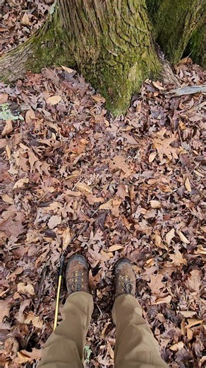 Chuck Willis on Instagram: "It is illegal to spike trees in the Bankhead National Forest or any other federal land. Tree spiking is considered a form of eco-terrorism, is hazardous to logging crews and forest users, and is strictly prohibited by federal law. Your location has been marked and sent. 👍😎✌️ #gotcha #alabama #protect #nature #forest"