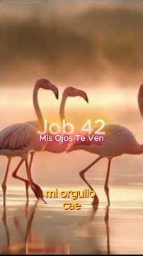 Job 42 #alabanza #alabanzas #alabanzascristianas #alabanzacristiana #alabanzasyadoración #worship