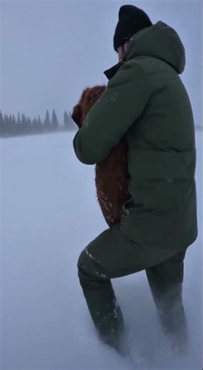 Heroic Rescue of a Dog who was buried in Heavy snow #animalrescue #snowstorm #dog