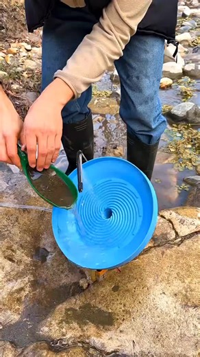 Discovering Gold on the Beach: A Treasure Hunt Adventure