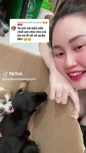 Chó Con Dễ Thương - Video Quậy Cùng Bạn Trẻ