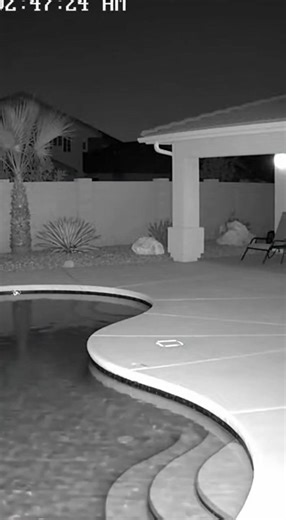 Hidden Moments Caught on Camera in Las Vegas