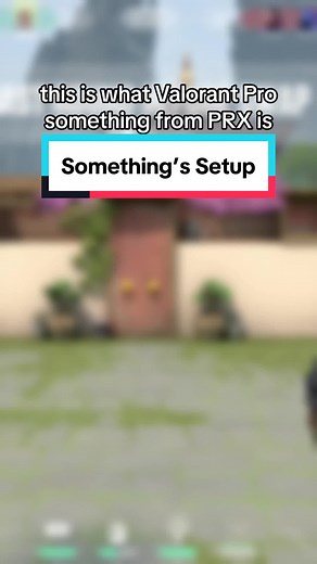 PRX Something's Valorant Setup Guide