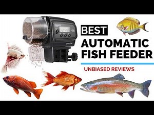 10 Best Automatic Fish Feeders | The Top BEST FISH Feeder Review & Ranking 2020