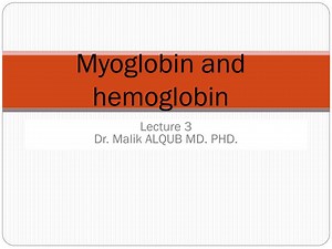 Myoglobin and hemoglobin - SlideServe