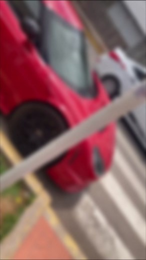 Rossion Q1: Un Vehículo para Verdaderos Conocedores