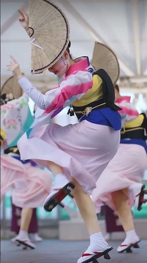 【阿波踊り2025】徳島市阿波おどり2025 アミコドーム阿波おどりフェスタ 金長連