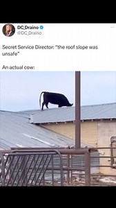 3.3K views · 65 reactions | WarriorCode.us on Reels | Facebook