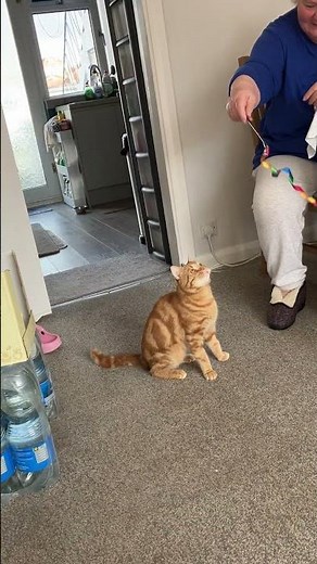 Tigger’s play time with mum