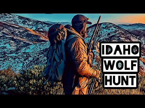 Idaho Wolf Hunting