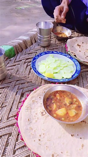 Milestone of 10 Million Adoptions Achieved!