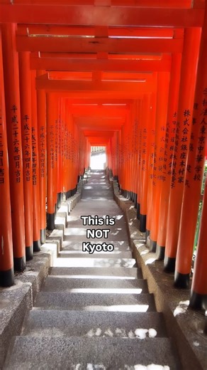 Chee Wah | Travel & city guide editor 20+ yrs | Tokyo’s very own red torii gate tunnel ⛩️ With a history dating back about 800 years, Hie-jinja is quite an unexpected shrine in central... | Instagram