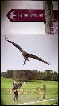 Use York as your base and explore the beauty of the North York Moors National Park 🌿