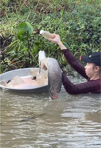 Surprising Catch of Giant Arapaima While Fishing