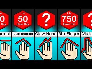 Comparison: Different Types Of Hands