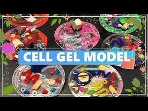HOW TO MAKE A CELL GEL MODEL? | TEACHER VLOGGER | MISS PIE