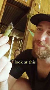 Inside a remote jungle village in Malaysia, life off the grid