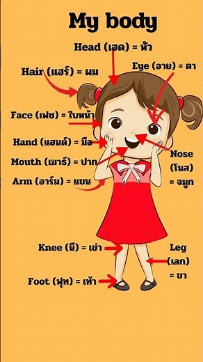 "คำศัพท์ร่างกาย ภาษาอังกฤษ พร้อมคำอ่านและคำแปล Body Parts Vocabulary" #ร่างกายภาษาอังกฤษ #Body