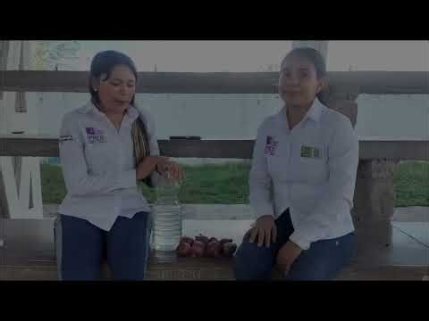 ACTIVIDAD PRÁCTICA DEL BIO-PREPARADO JUGO DE CEBOLLA. GRUPO TA3. SEDE SAN ALBERTO (BECERRIL)