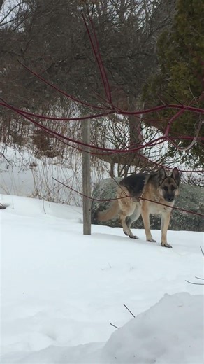 When the Universe Sends You a Present