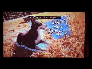 Martha Speaks - Who's That Dog: Song and Invisible