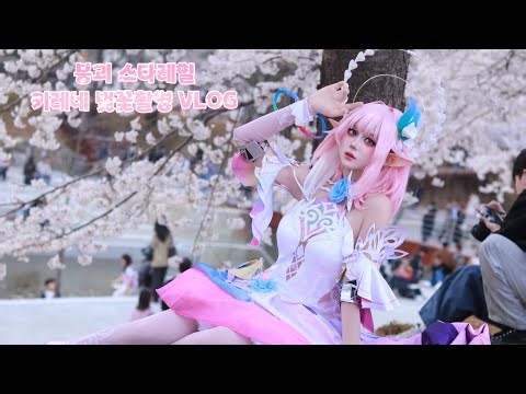 다시 한번 날 “키레네” 라고 불러줄래? | 붕괴 스타레일 키레네 코스프레 벚꽃촬영 브이로그🌸✨ | 붕괴 스타레일 | TMI | 벚꽃촬영