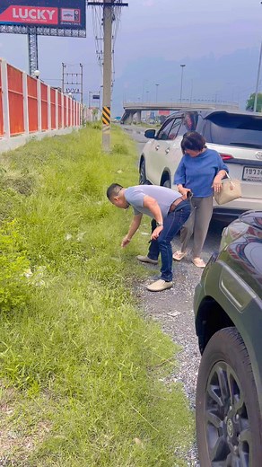 11K views · 256 reactions | หาเก็บอีกแล้ว | วีระพงษ์ วงศ์ศิลป์ ศิลปินภูไท | Facebook