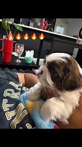 My babies getting big fast!!!! | Monique Jude Moore