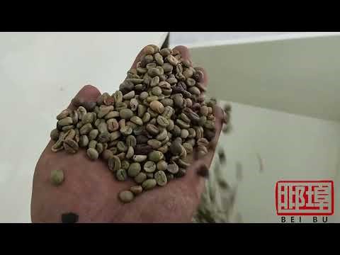 Coffee beans cleaning processing line