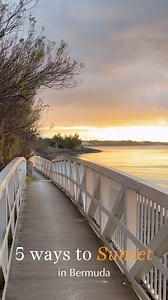 88 reactions | Whether you’re a local or visitor, catching a Bermuda...