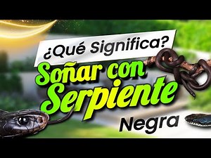 What Does It Mean to Dream About a Black Snake