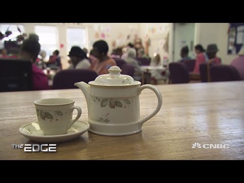 This robotic therapy seal is revolutionizing elderly care