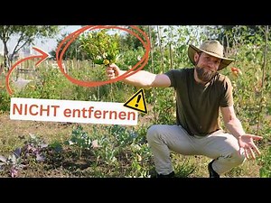 7 Unkräuter die GUT für deinen Garten sind 🌱