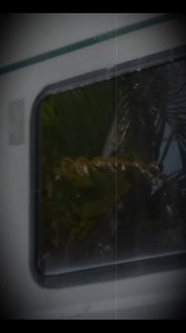 Coming back Part 10 | HowTo