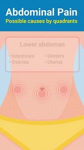 7.9K views · 85 reactions | Abdominal pain has many causes, some more serious than others. What feels like a stomachache may be coming from another organ in your abdomen, or from outside of your digestive system. Always seek medical care if your abdominal pain is unexplained, persistent or severe. Learn more: https://cle.clinic/40PQP7X | Cleveland Clinic | Facebook